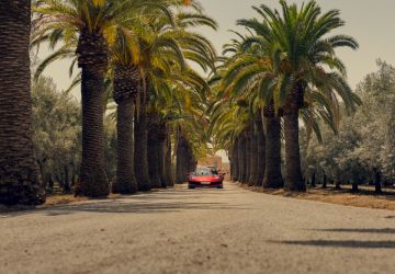 João Ferreira - Albufeira - Event Photography