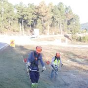 Terragest - Sivicultura e Exploração Florestal - Covilhã - Multi Service Lawn Care