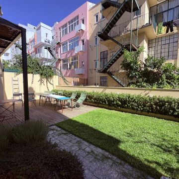 Monstera Gardening - Lisboa - Remoção de Tronco de Árvore