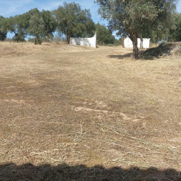 Quintais Limpos - Évora - Mantenimiento del sistema de riego por goteo