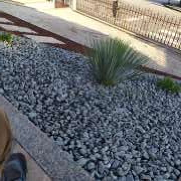Paulo pires - Penafiel - Greenhouse Services