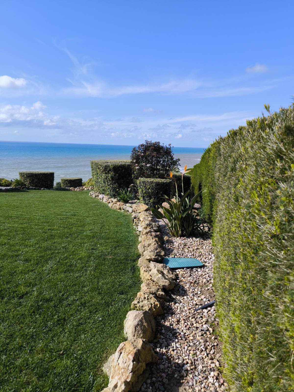 Bougainville Gardens - Torres Vedras - Multi Service Lawn Care