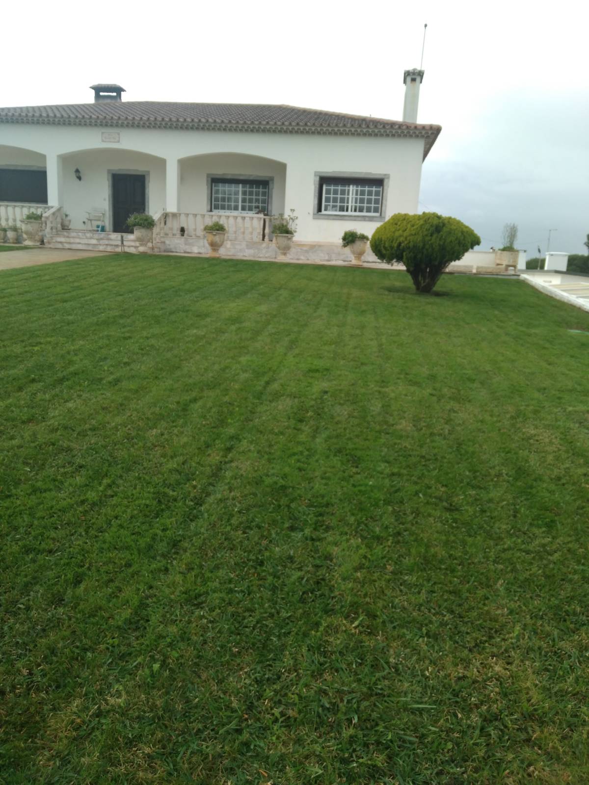 DreamGardens - Torres Vedras - Gartenarbeiten