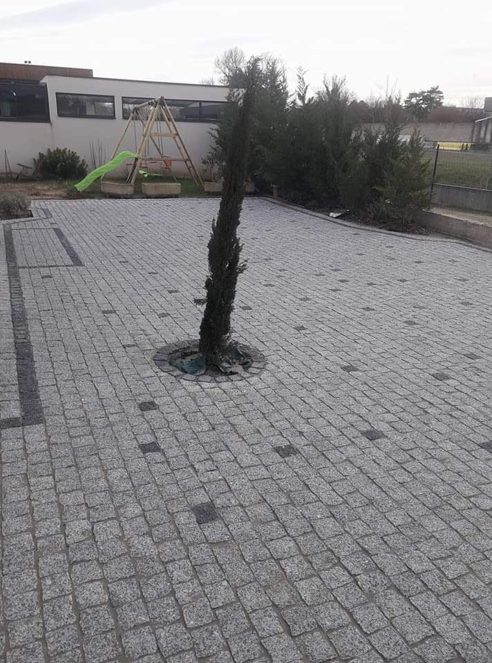 Silva Invicta Construções lda - Matosinhos - Asbestos Removal