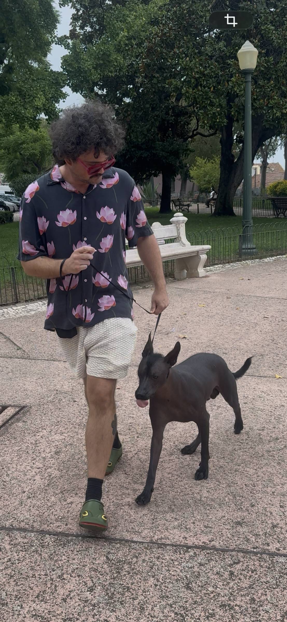 Rodrigo Treinador de Cães em Lisboa - Lisboa - Cat Sitting