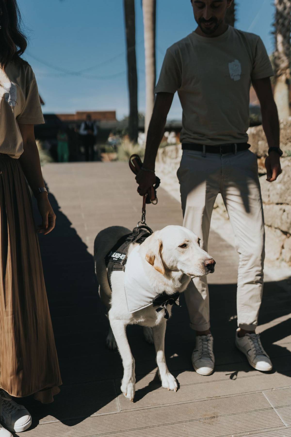 Amor de Quatro Patas - Porto - Dog Sitting