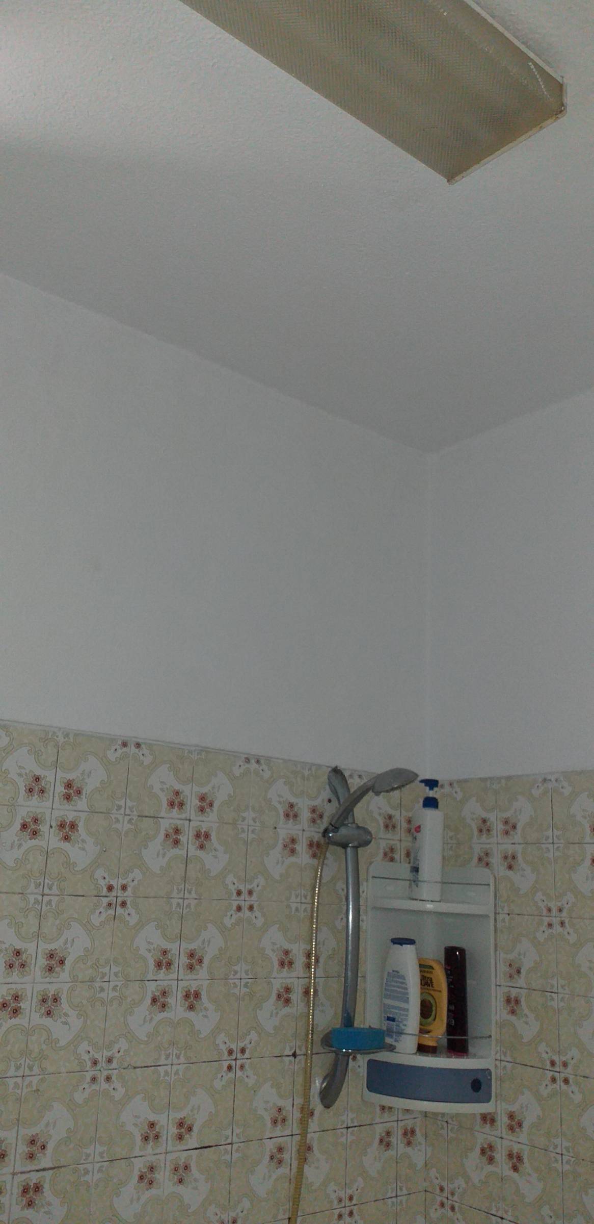 Pintura de Casas