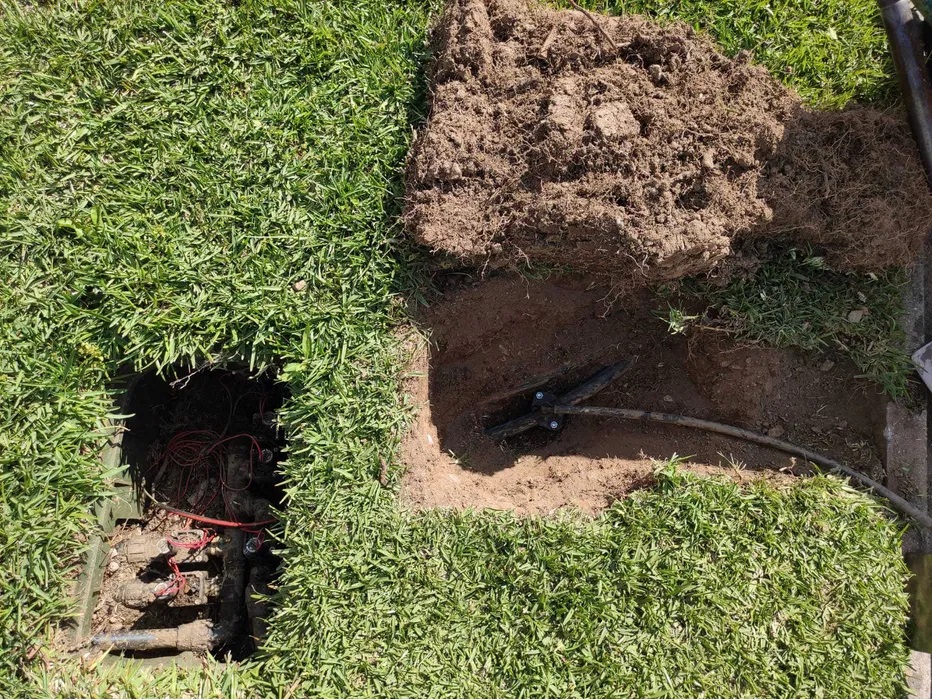Ricardo Amorim - Valongo - Multi Service Lawn Care