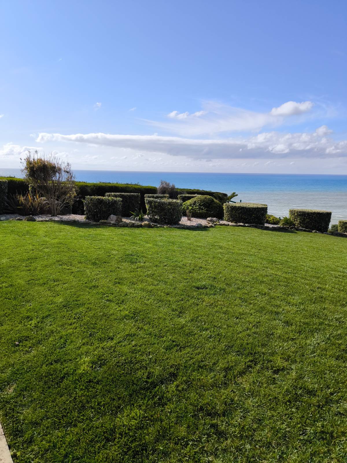 Bougainville Gardens - Torres Vedras - Lawn Mowing and Trimming