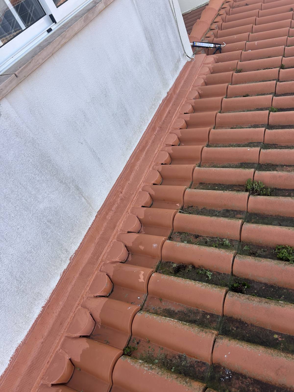 Tiago Gomes - Caldas da Rainha - Instalação de Alcatifa