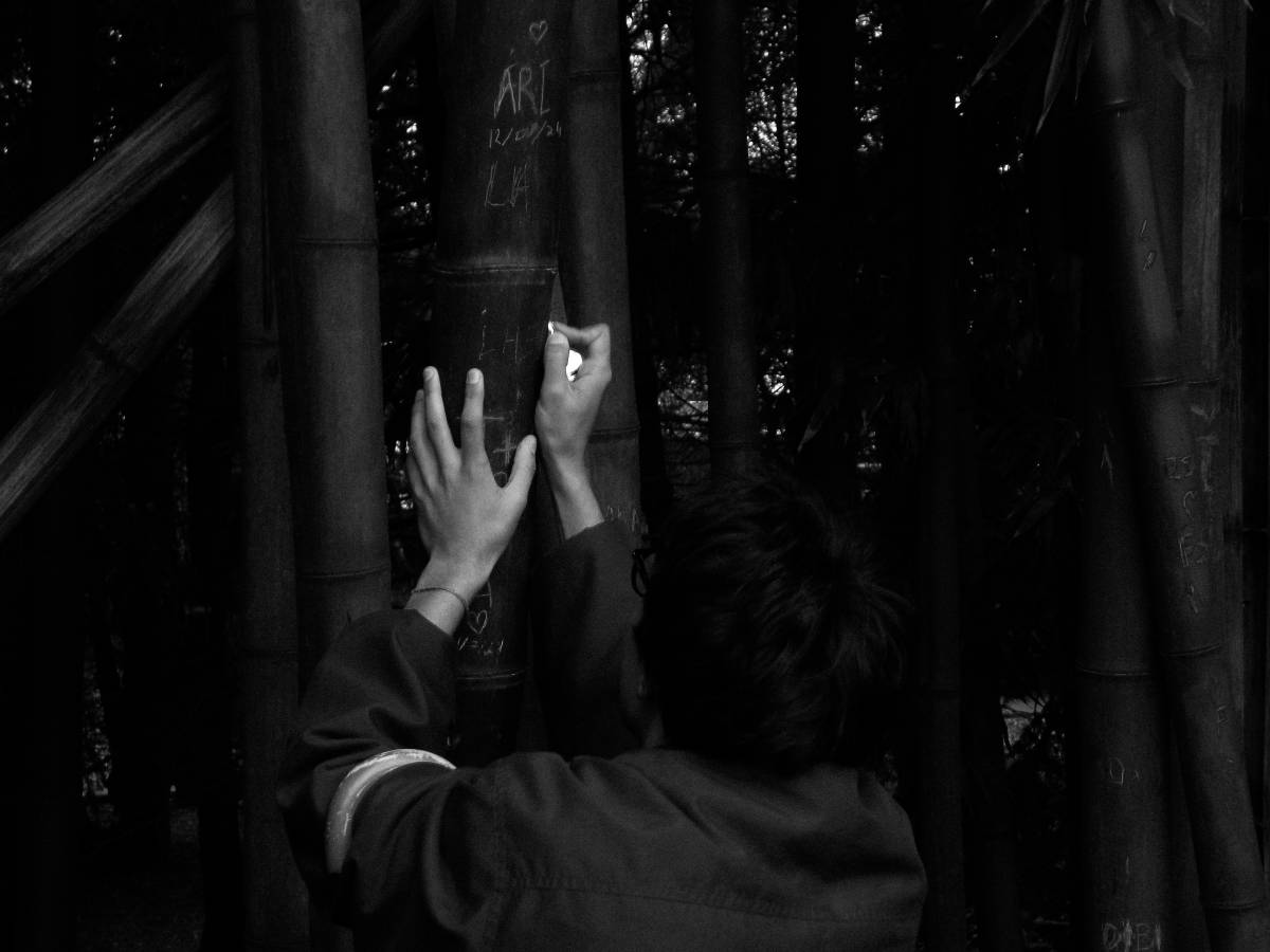 Lis - Gondomar - Fotografia de Eventos
