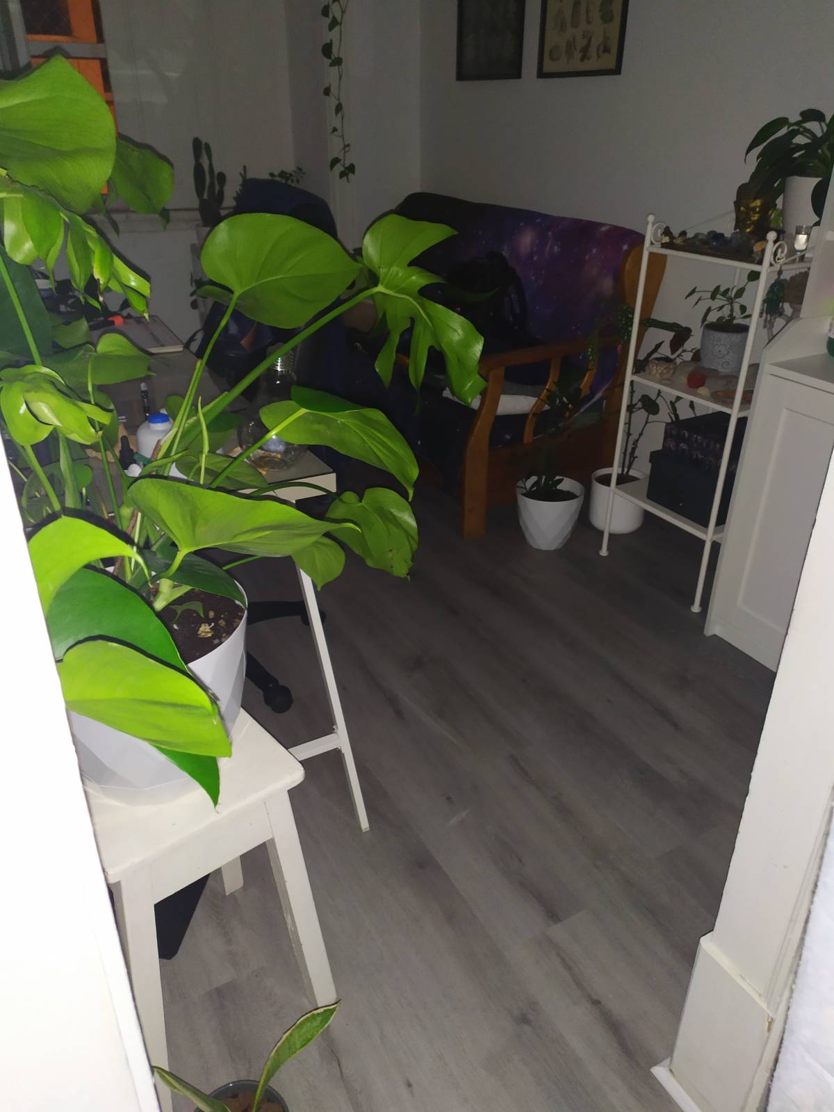 Caminho Galardoado Pavimentos - Barreiro - Stone or Tile Flooring Installation