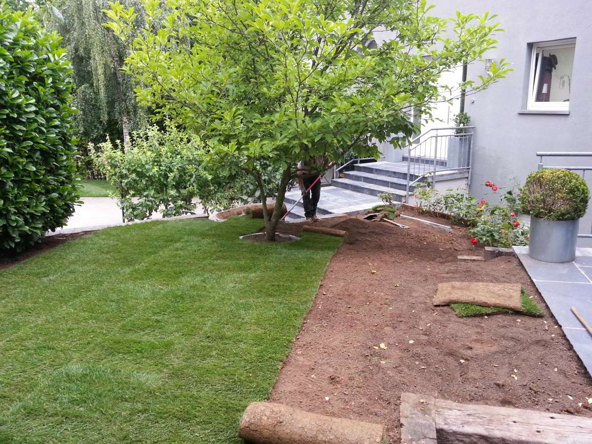 Luis Sousa - Santa Comba Dão - Artificial Turf Installation