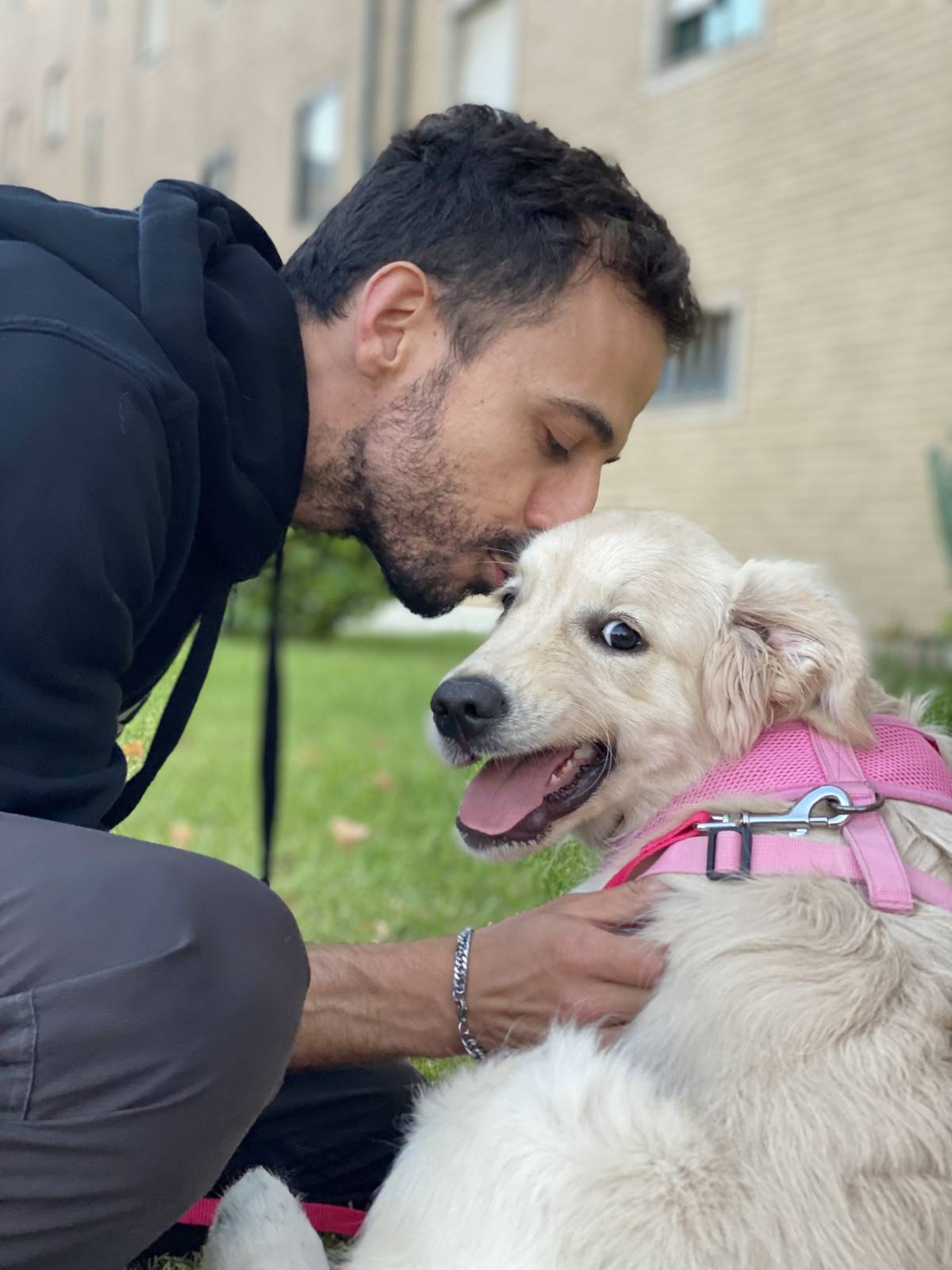 Amor de Quatro Patas - Porto - Treino de Cães