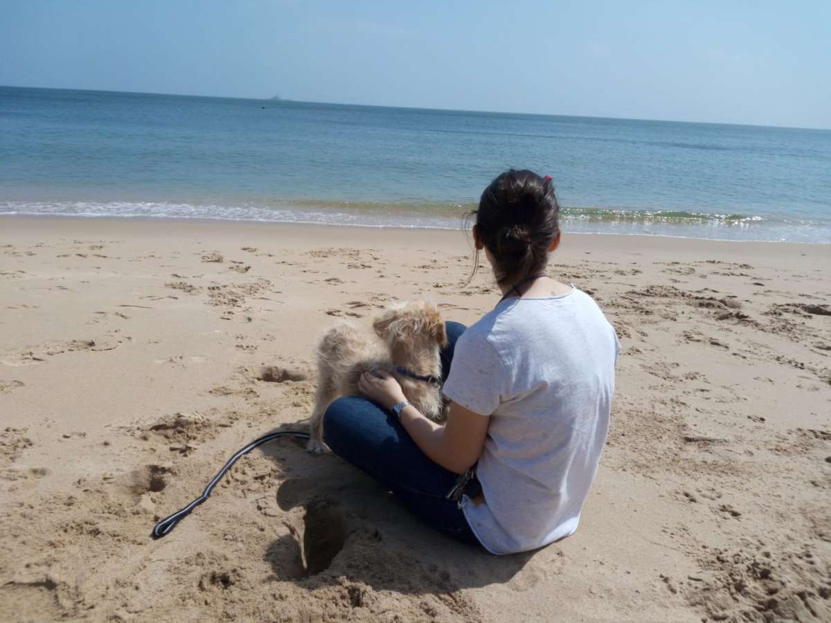 Sílvia Santos - Oeiras - Pet Boarding and Daycare