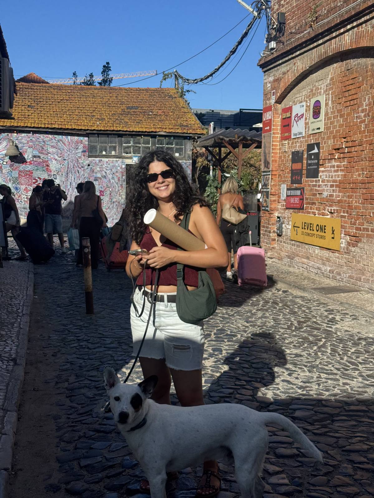 Rodrigo Treinador de Cães em Lisboa - Lisboa - Treino de Cães - Aulas