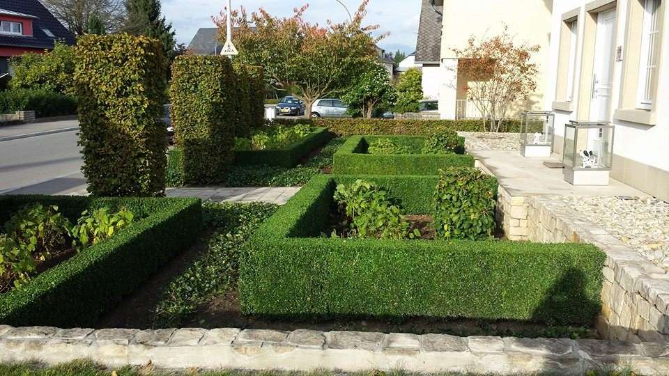 Luis Sousa - Santa Comba Dão - Shrub Removal