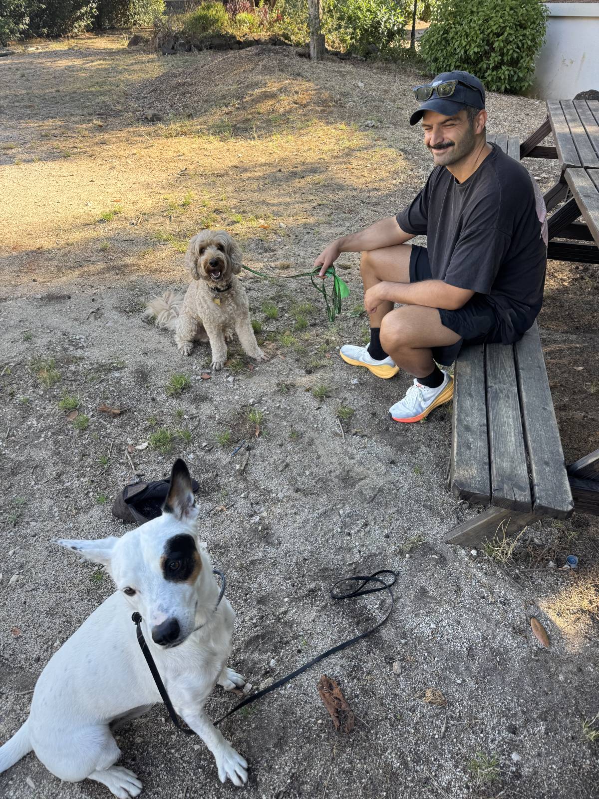 Rodrigo Treinador de Cães em Lisboa - Lisboa - Dog Walking