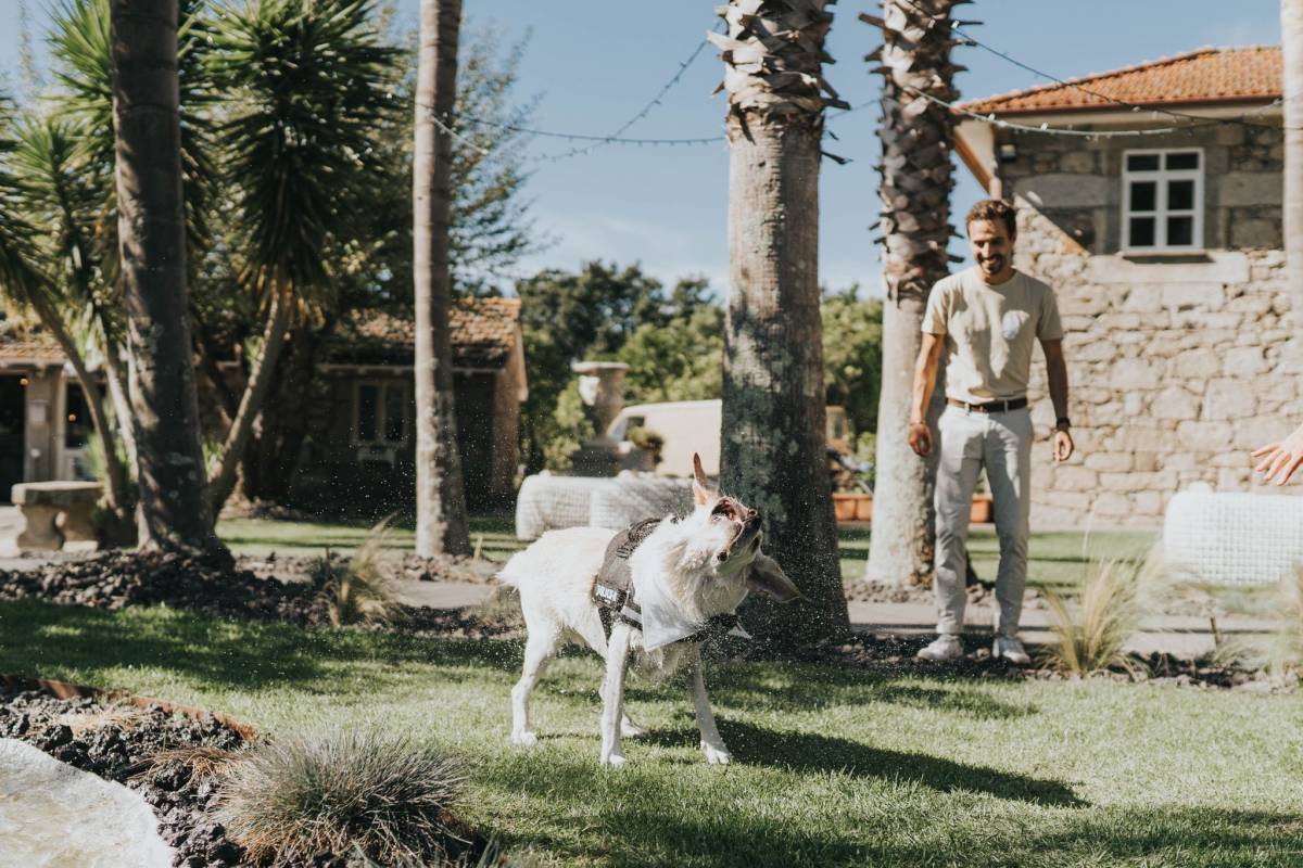 Amor de Quatro Patas - Porto - Pet Sitting