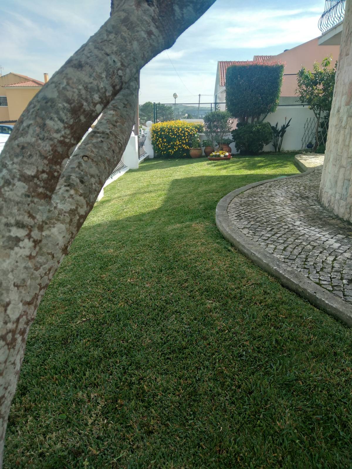 DreamGardens - Torres Vedras - Gartenarbeit