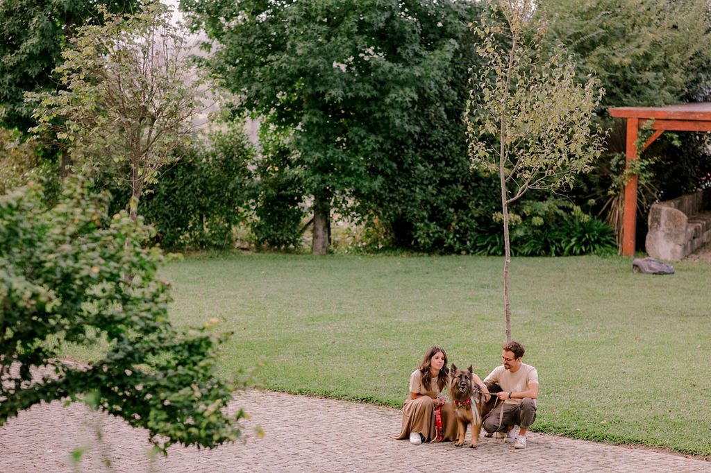 Amor de Quatro Patas - Porto - Dog Sitting