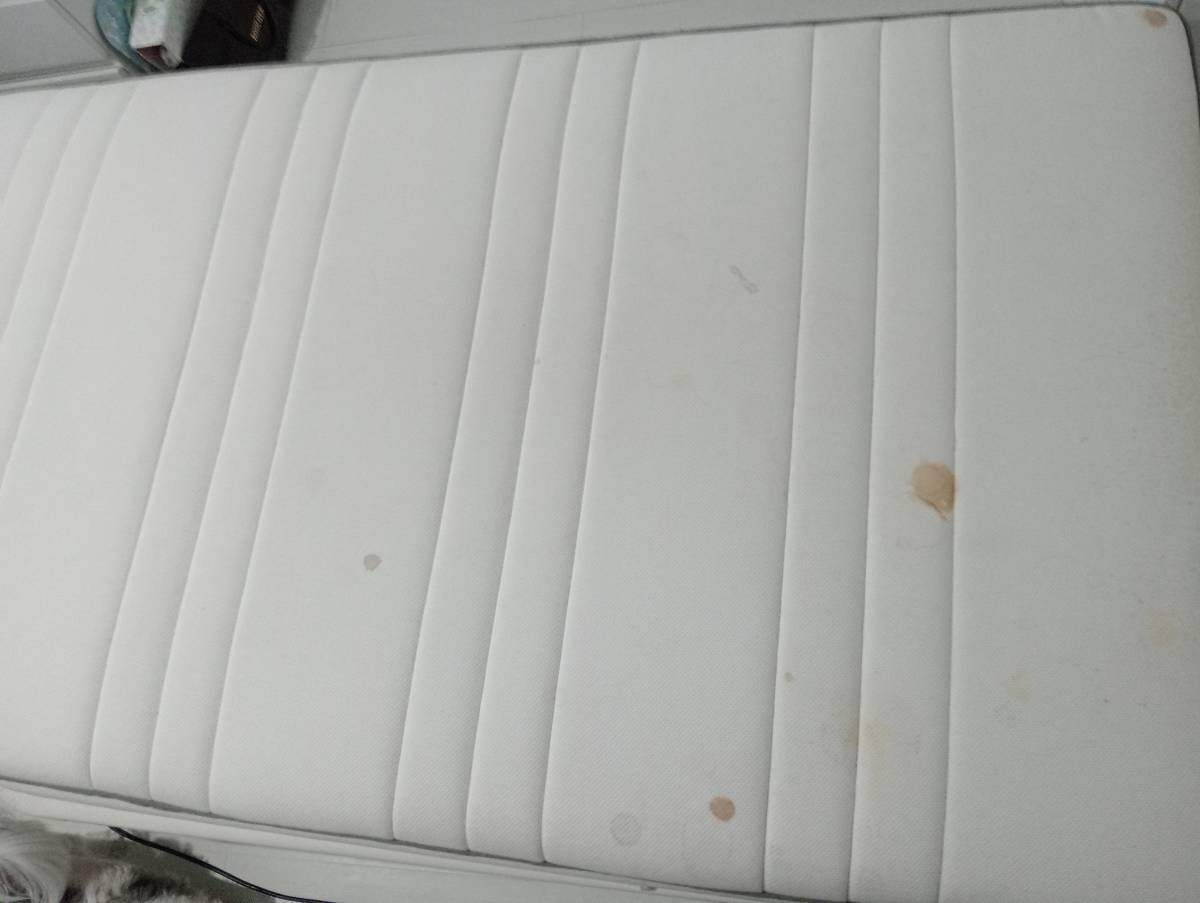 Deep_clean_23 - Sesimbra - Sofa Cleaning