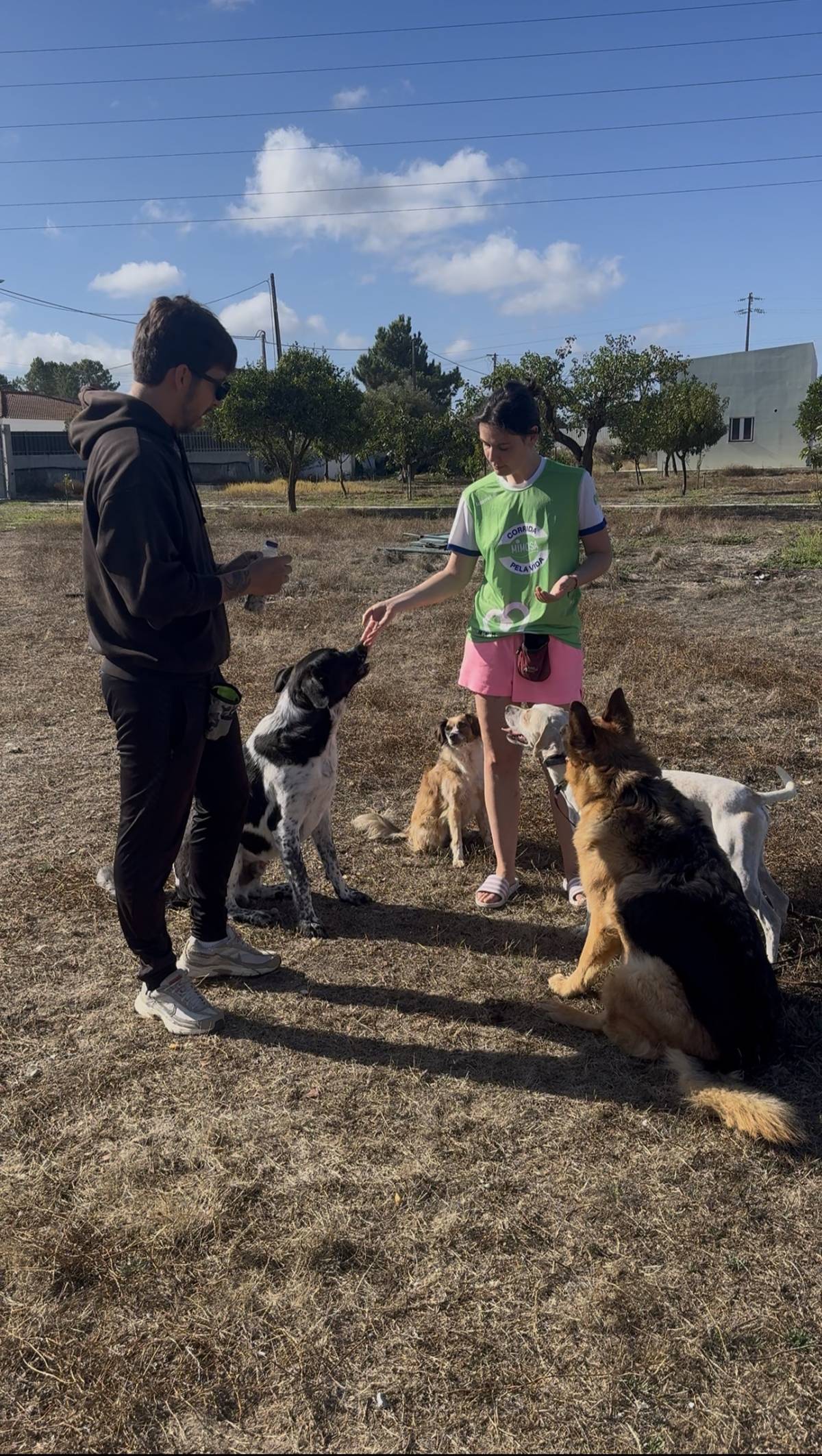 Rodrigo Treinador de Cães em Lisboa - Lisboa - Pet Sitting