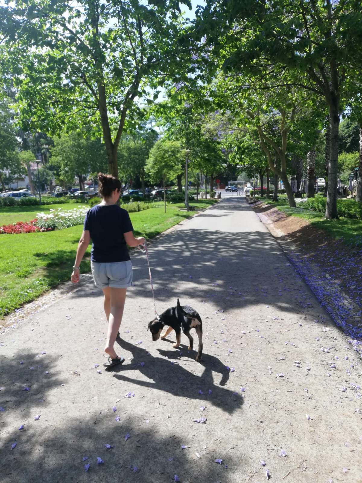 Sílvia Santos - Oeiras - Dog Daycare