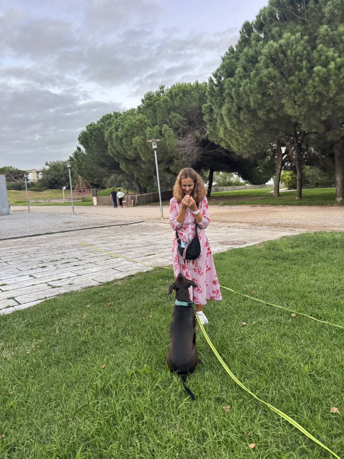 Rodrigo Treinador de Cães em Lisboa - Lisboa - Pet Sitting