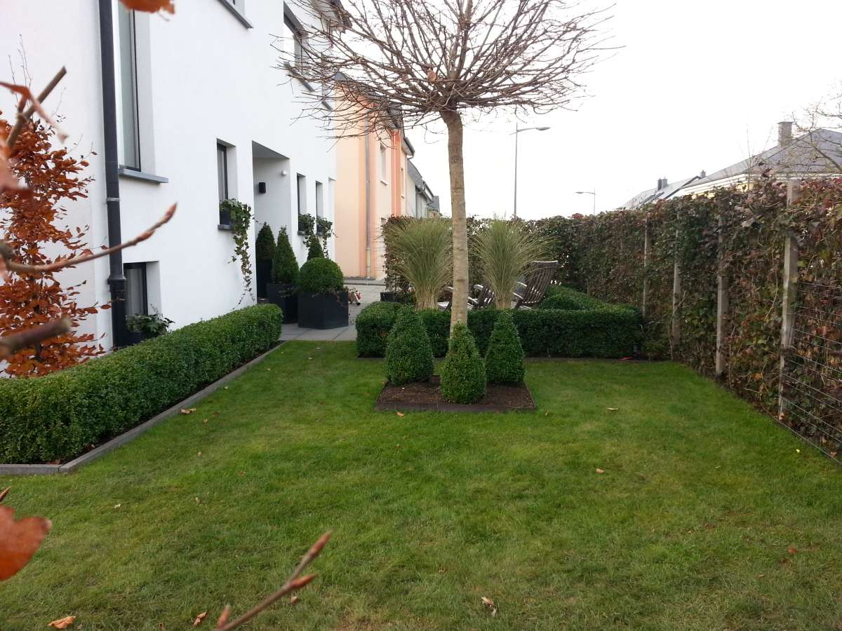 Luis Sousa - Santa Comba Dão - Multi Service Lawn Care