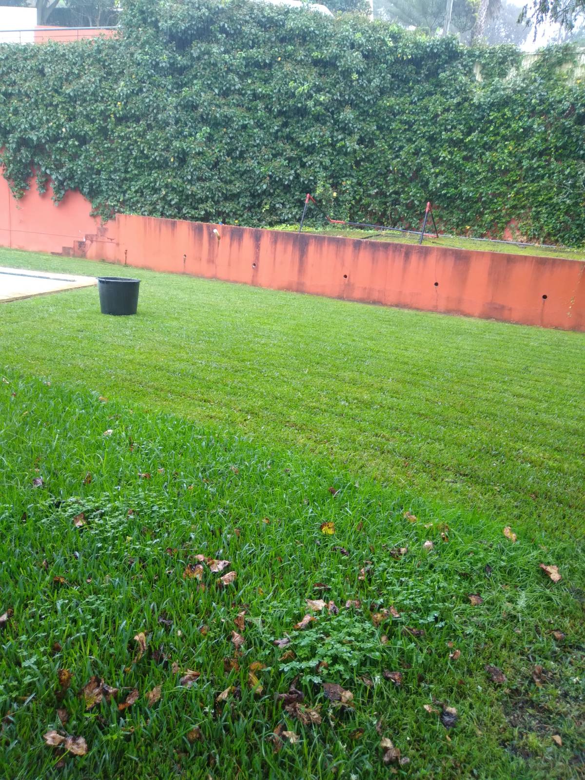 DreamGardens - Torres Vedras - Baumpflege