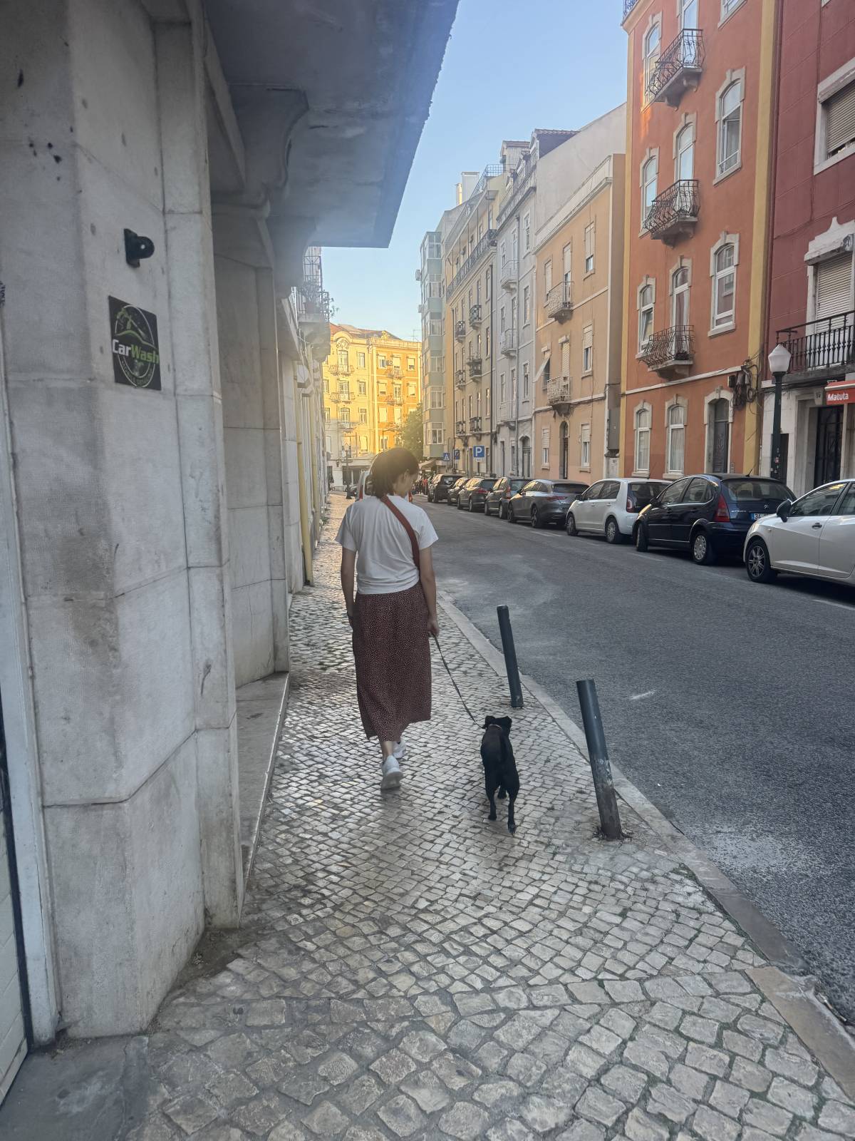 Rodrigo Treinador de Cães em Lisboa - Lisboa - Dog Walking