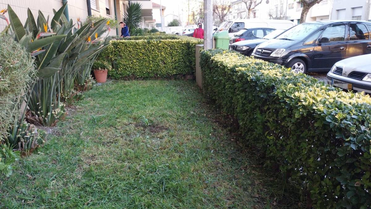 Ricardo Amorim - Valongo - Tree Stump Grinding and Removal