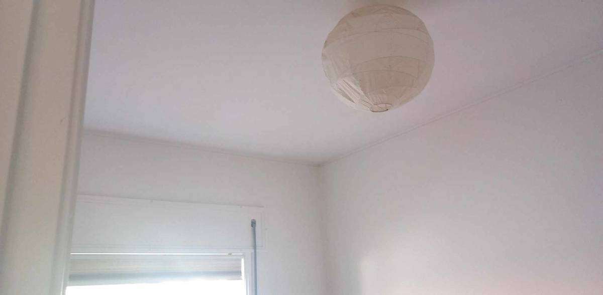 Mold Inspection and Removal