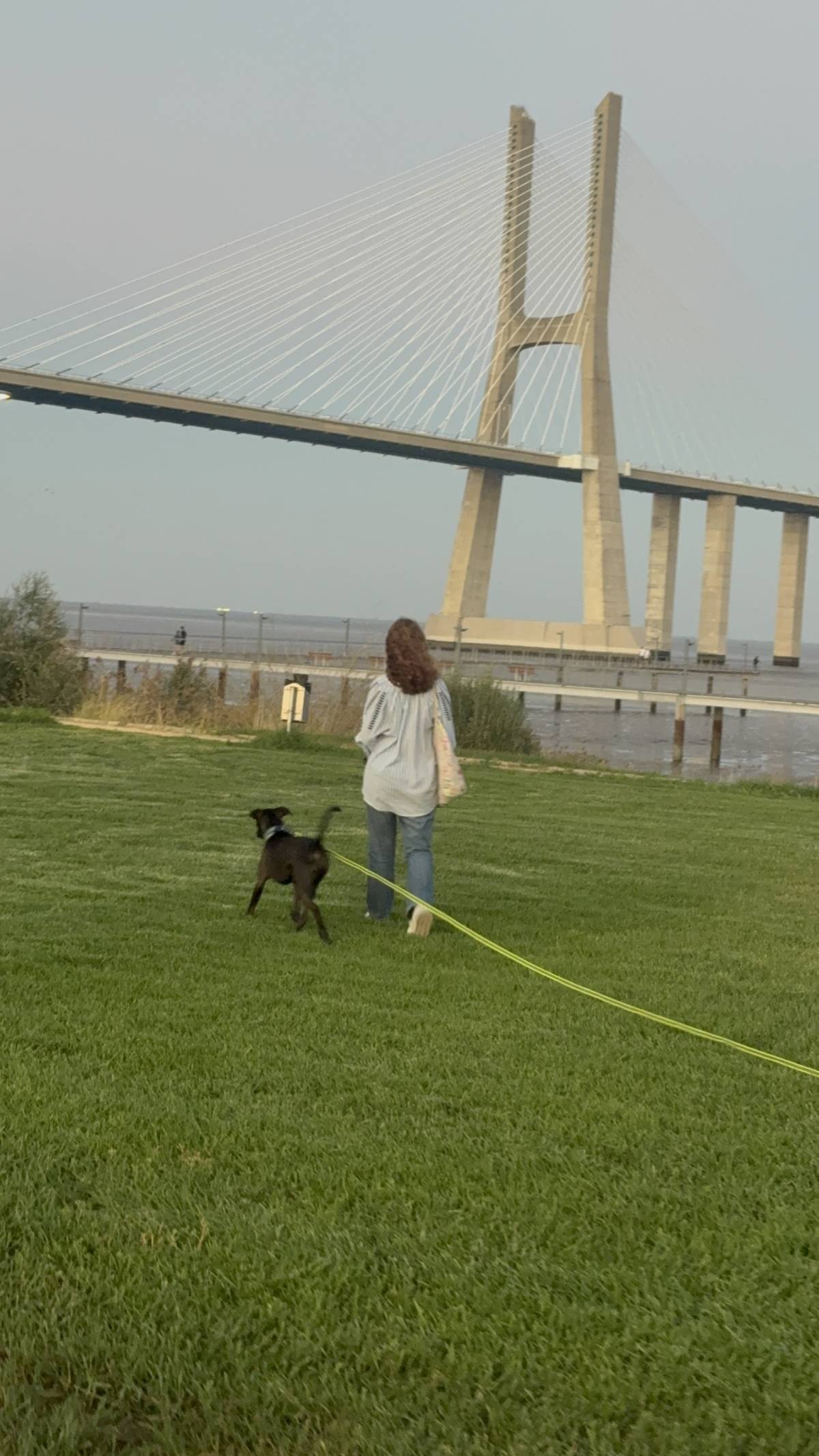 Rodrigo Treinador de Cães em Lisboa - Lisboa - Cat Sitting