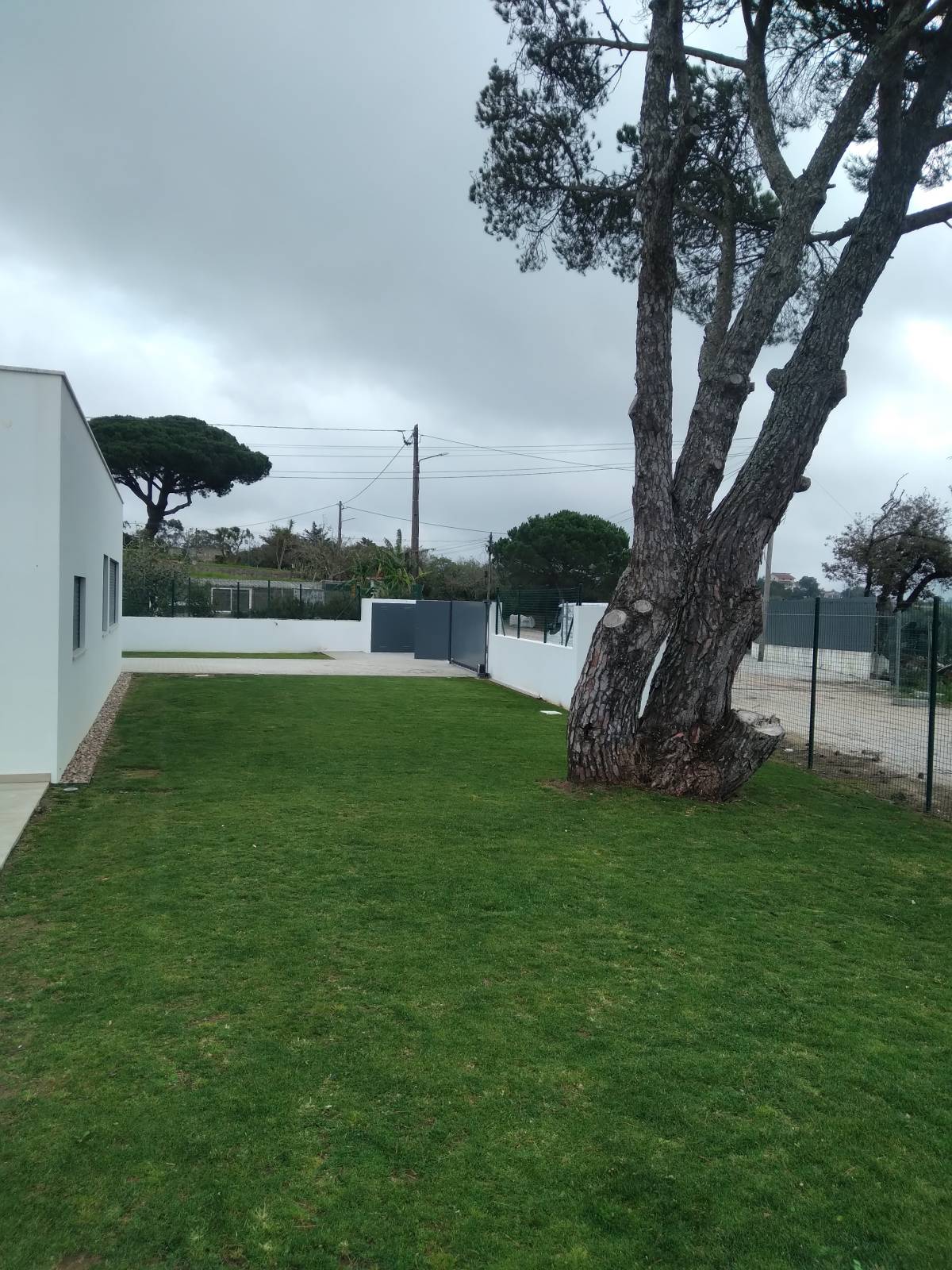 DreamGardens - Torres Vedras - Baumpflanzung