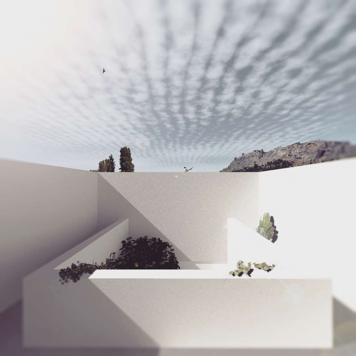 POLO Arquitetos - Portalegre - Architectural Services original