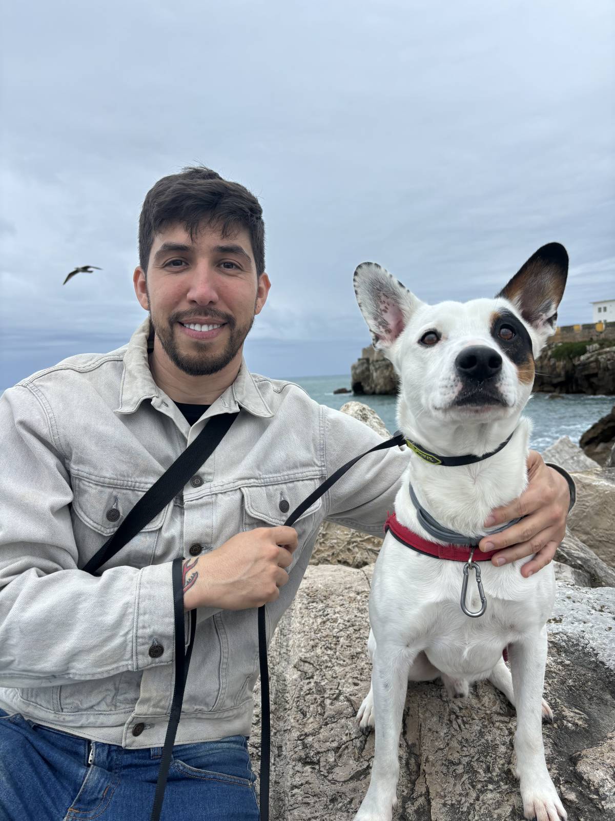 Rodrigo Treinador de Cães em Lisboa - Lisboa - Treino de Cães