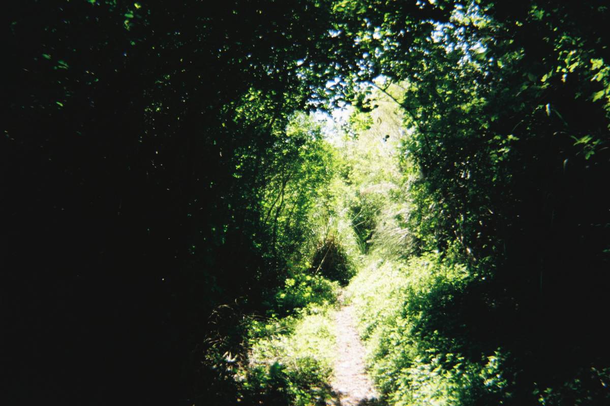Lis - Gondomar - Limpeza de Propriedade
