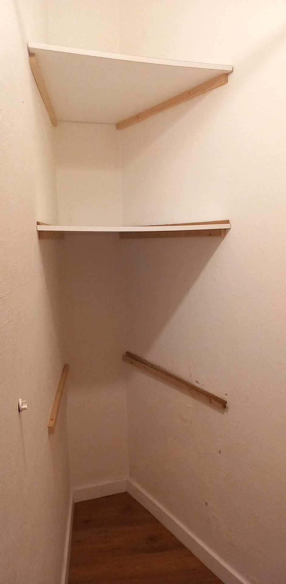 Mold Removal Expert