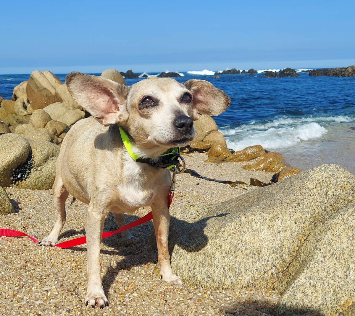 VALIER - Vila do Conde - Portrait Photography (for children)