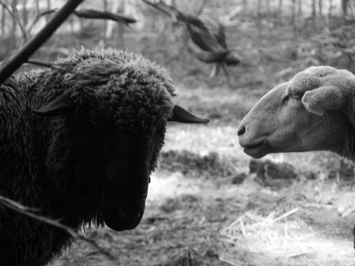 Lis - Gondomar - Fotografia de Casamentos