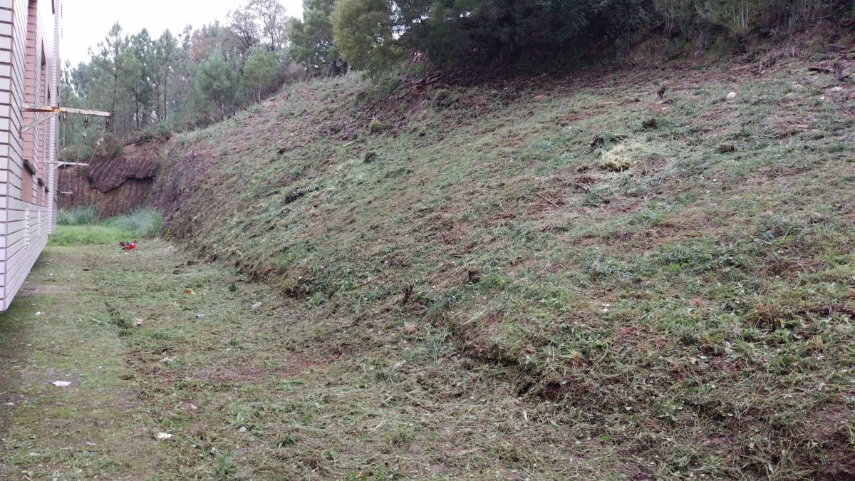 Ricardo Amorim - Valongo - Shrub Removal