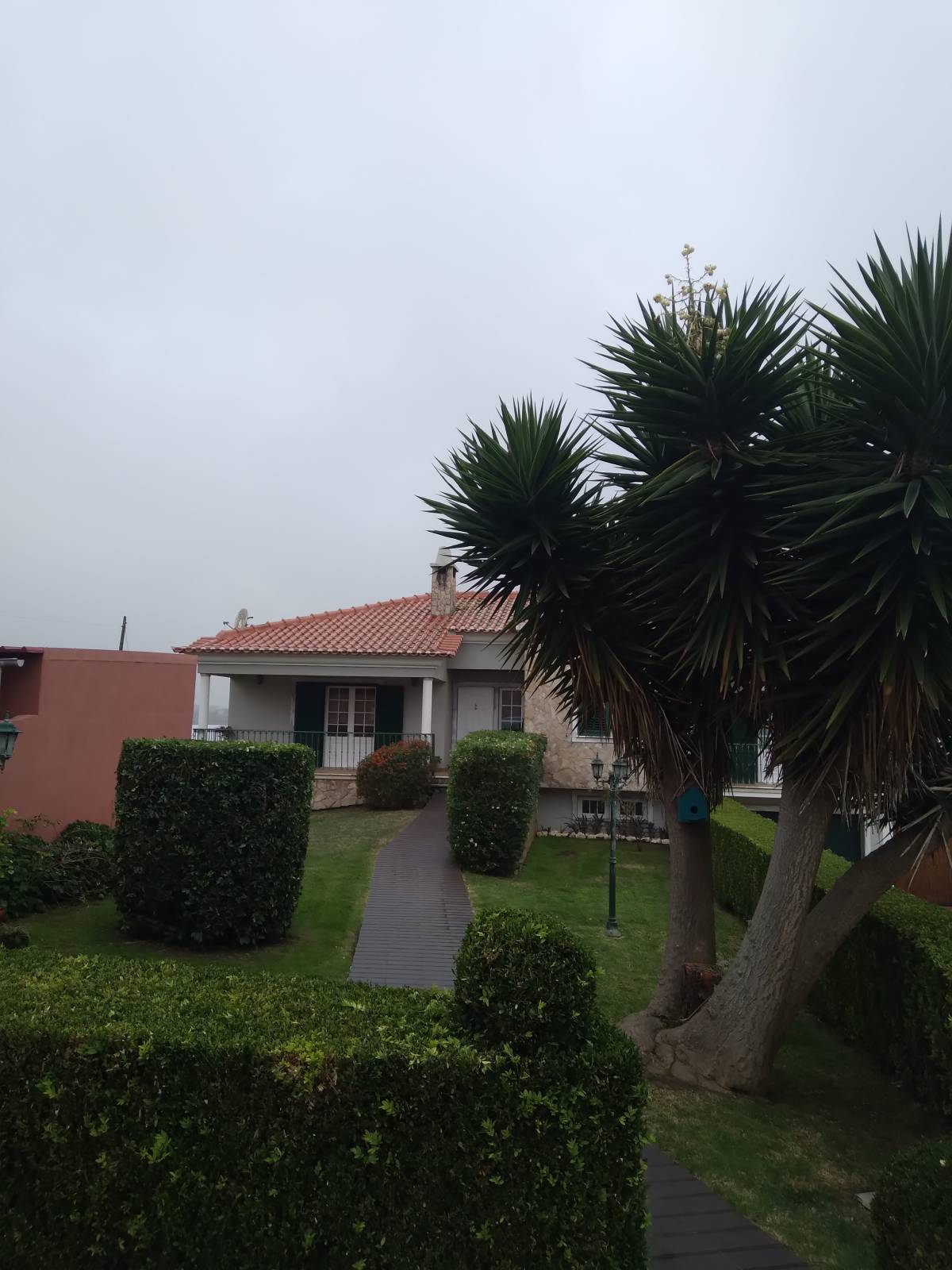 DreamGardens - Torres Vedras - Rasenpflege - Kompletter Rundum-Service