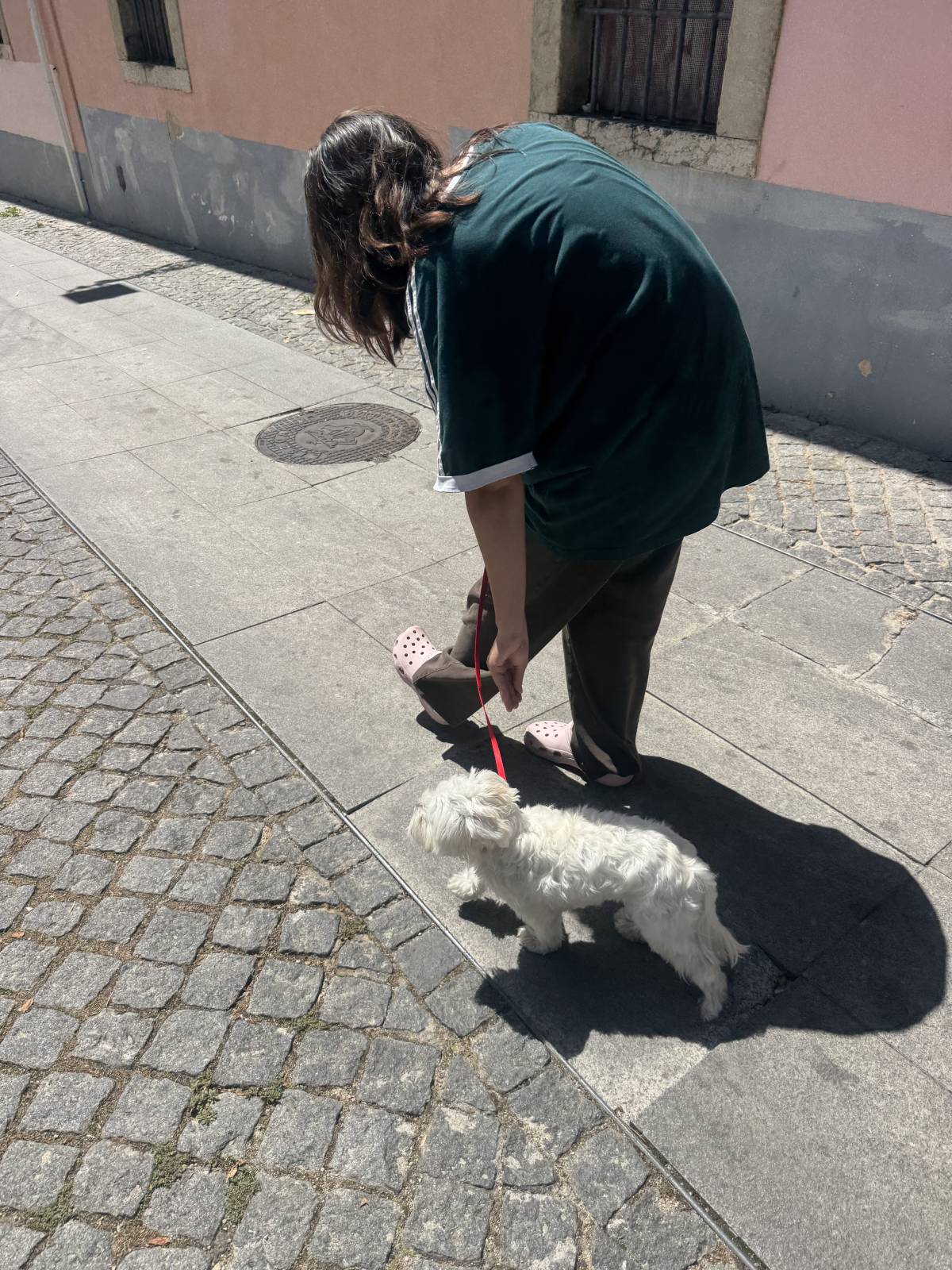Rodrigo Treinador de Cães em Lisboa - Lisboa - Treino de Cães