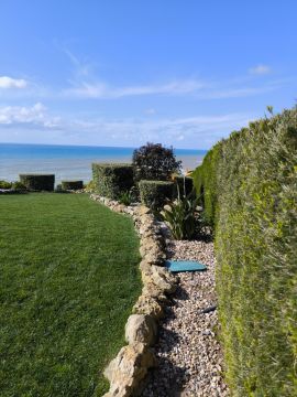 Bougainville Gardens - Torres Vedras - Multi Service Lawn Care