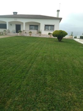 DreamGardens - Torres Vedras - Gartenarbeiten