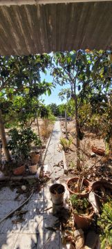 Serviço de Jardinagem