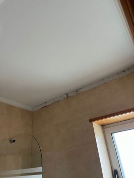 Interior Painter