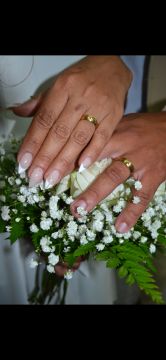 3A ORGANIZAÇÃO DE EVENTOS - Sintra - Limpeza de Propriedade